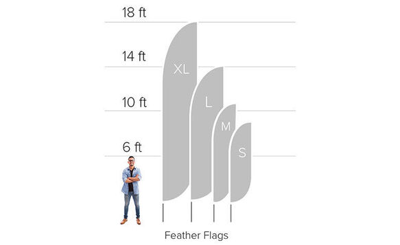 Feather flag heights compared to average human height